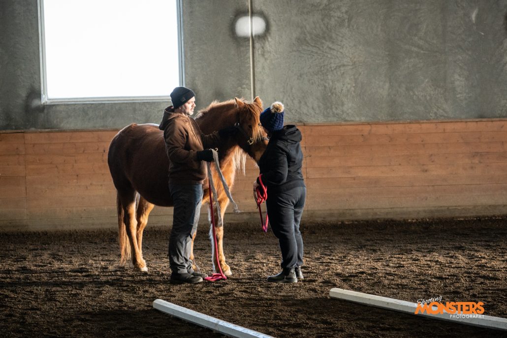 What looks to be participants in Can Praxis program working with one of the therapy horses