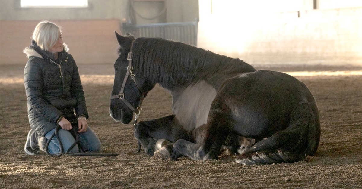 Regent laying down with a therapy client, helping to create a sense of serenity for them both.