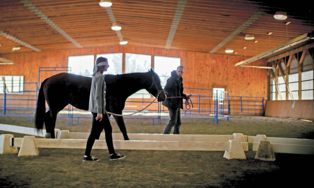 A couple runs through a trust exercise in a Can Praxis course. The program uses equine therapy to help veterans suffering from PTSD and their spouses communicate