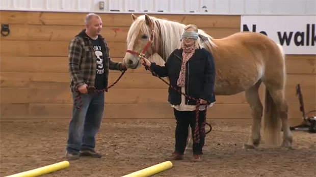 The horses help keep participants calm and many say the program is life changing.